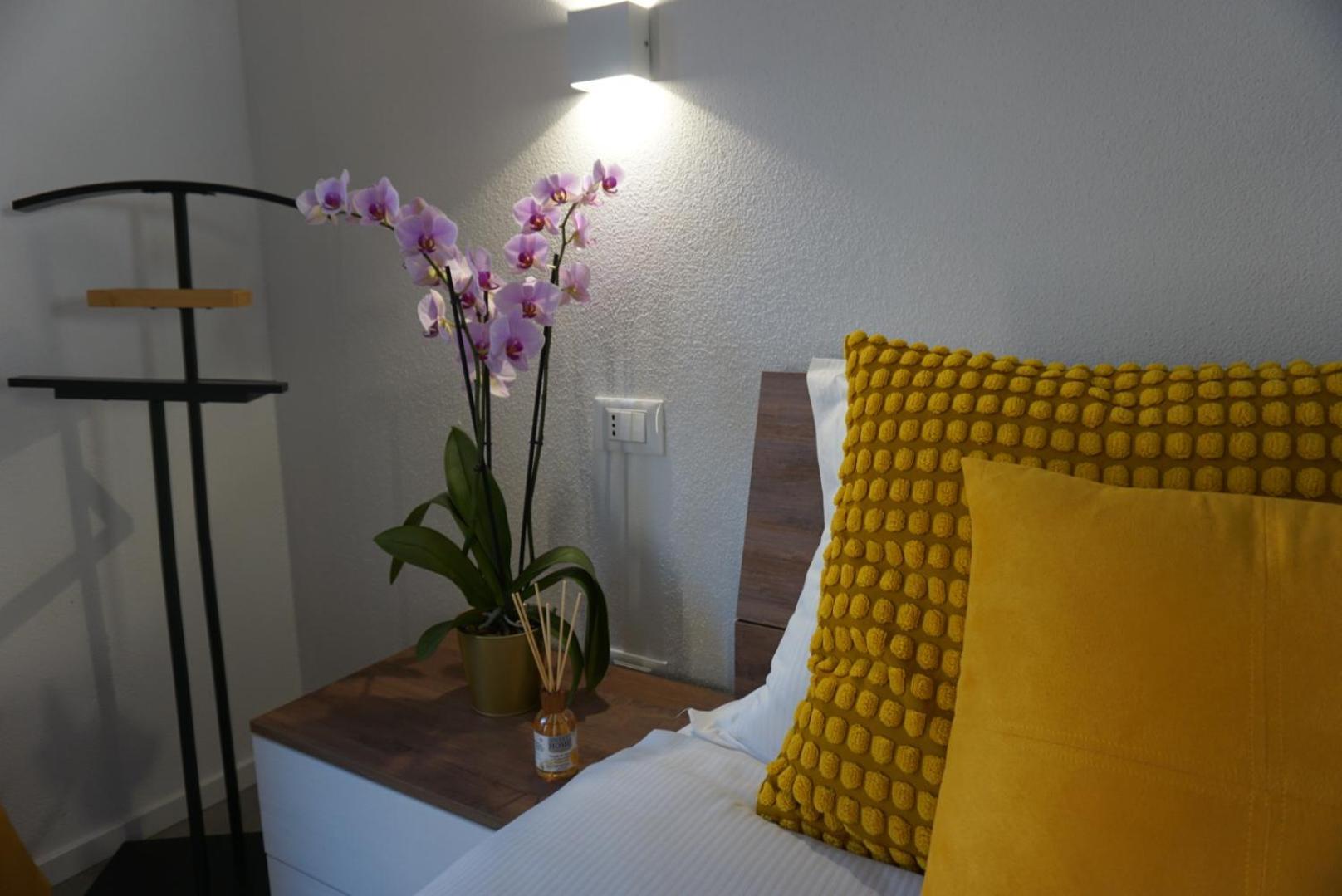 Elisa Apartments B - In Front Of The Walls Of Lucca Exteriér fotografie
